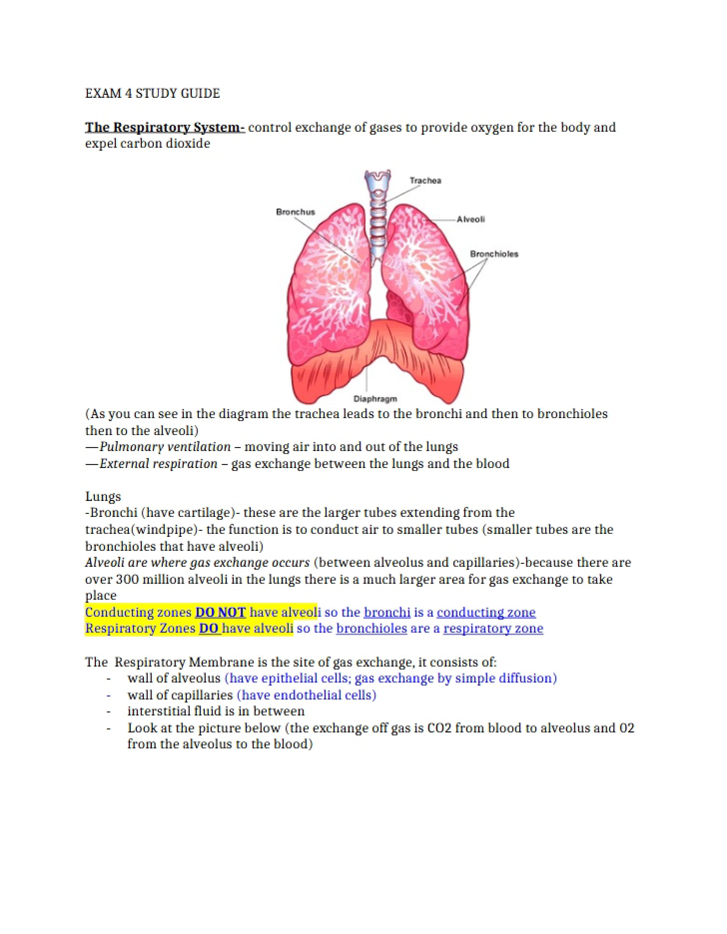 Examination Four