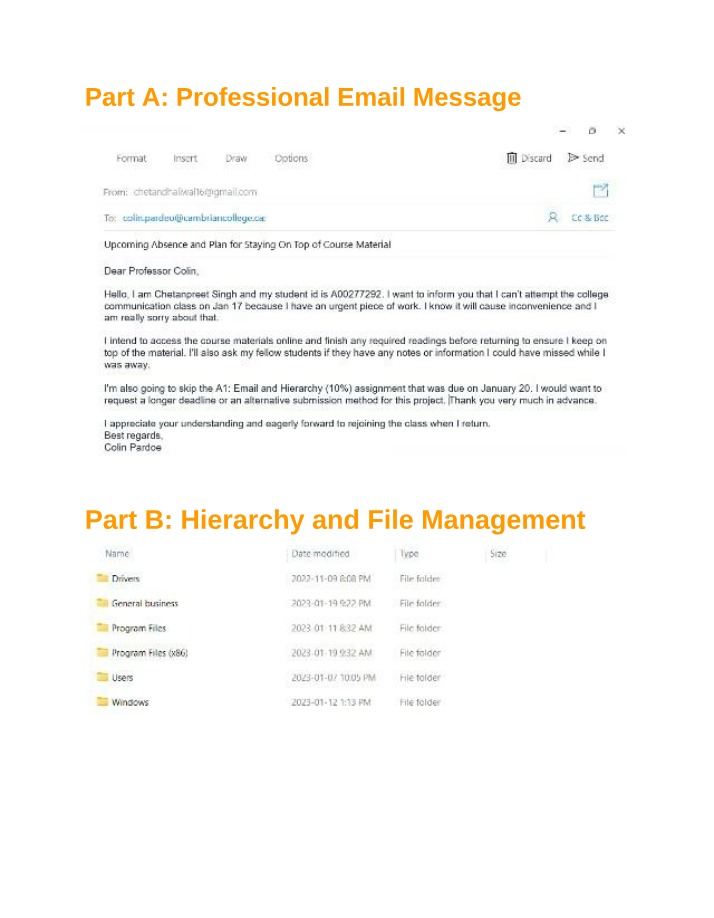 Professional Email Writing and File Management