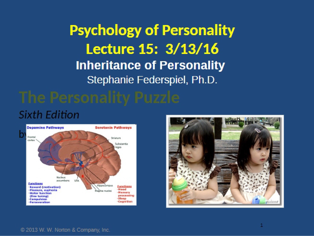 Posted Lecture 15 (Personality Psych 2016)