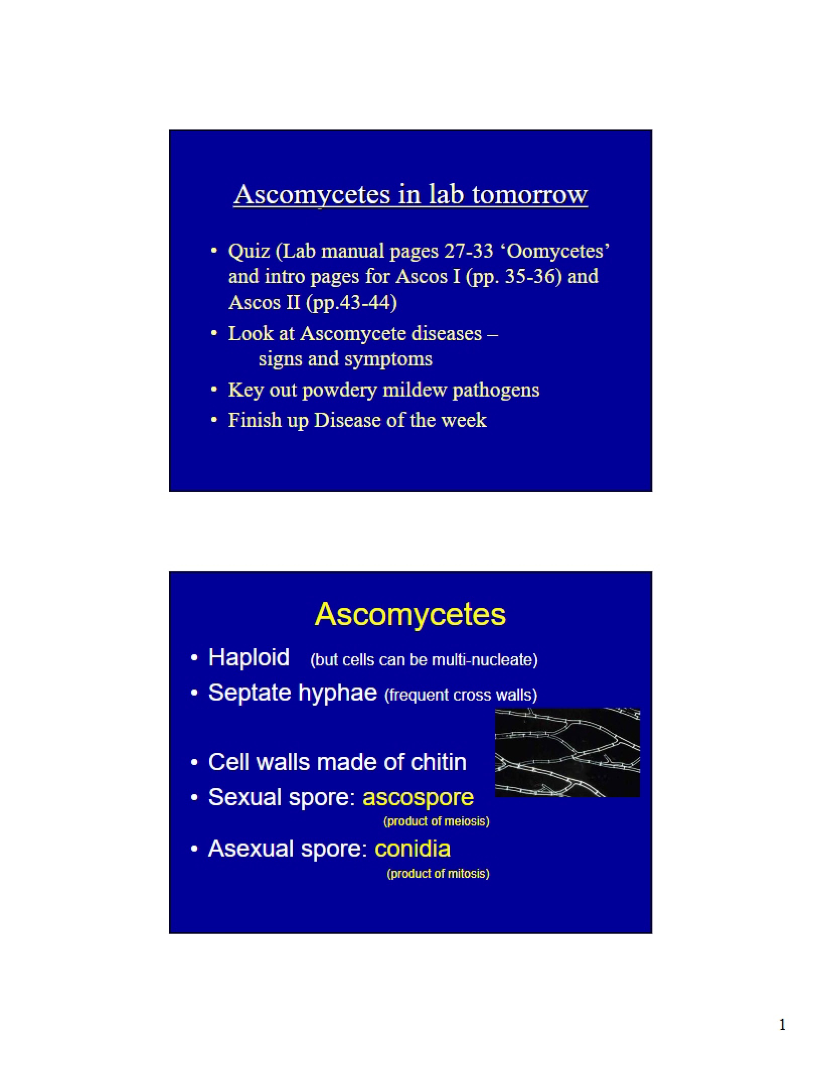 Lecture Notes on Plant Pathology - BOT 350