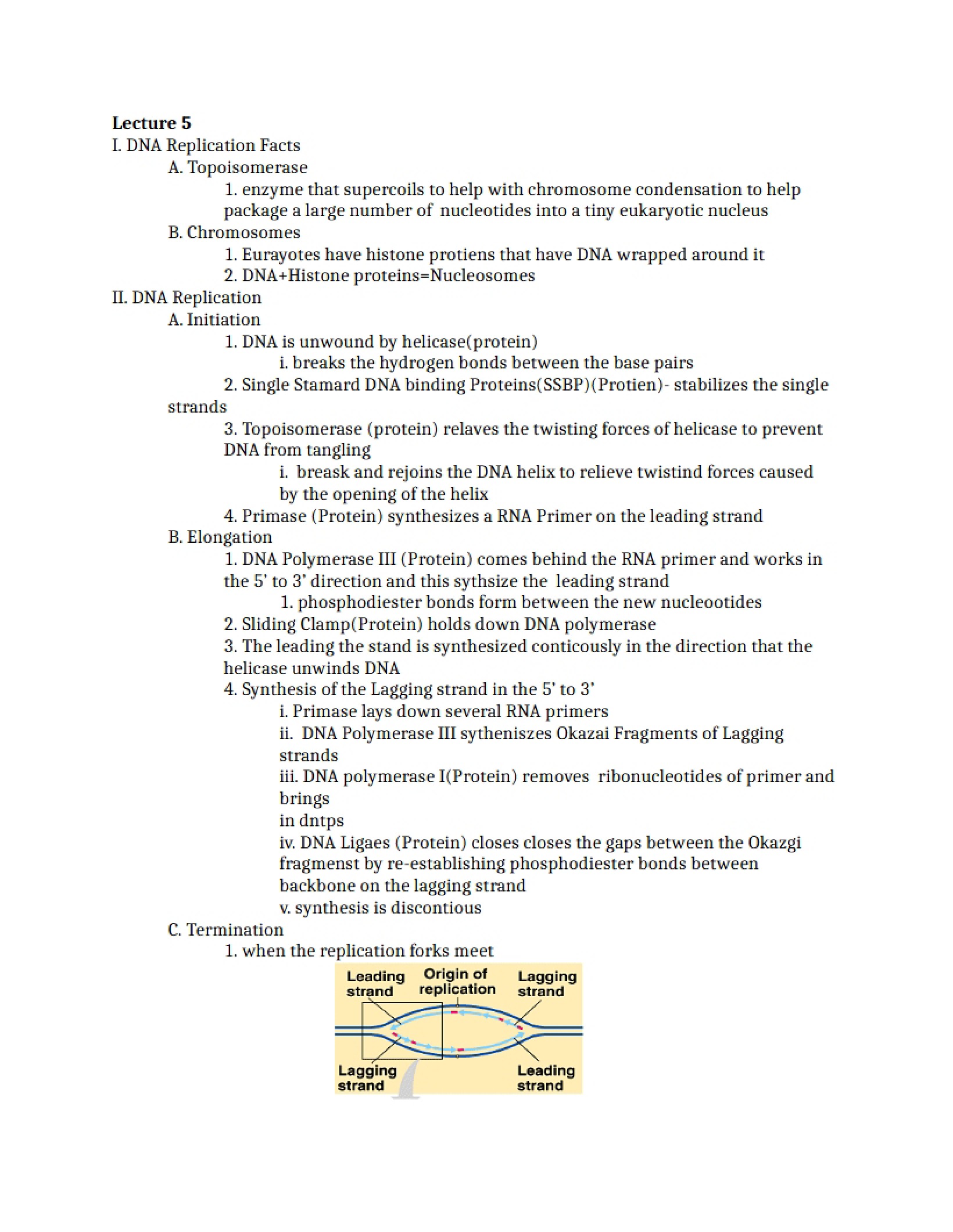 Fifth Lecture