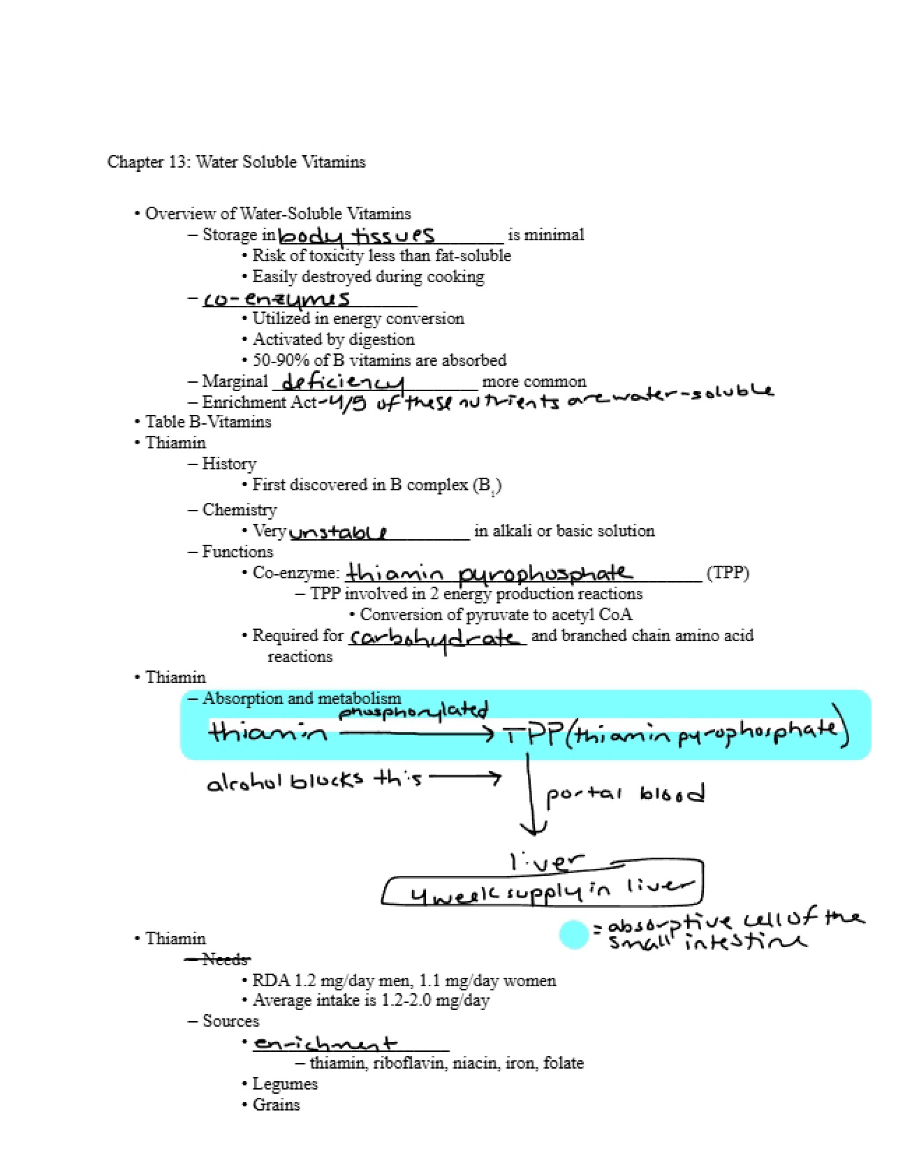 Vitamins Water Soluble (Ch 13)