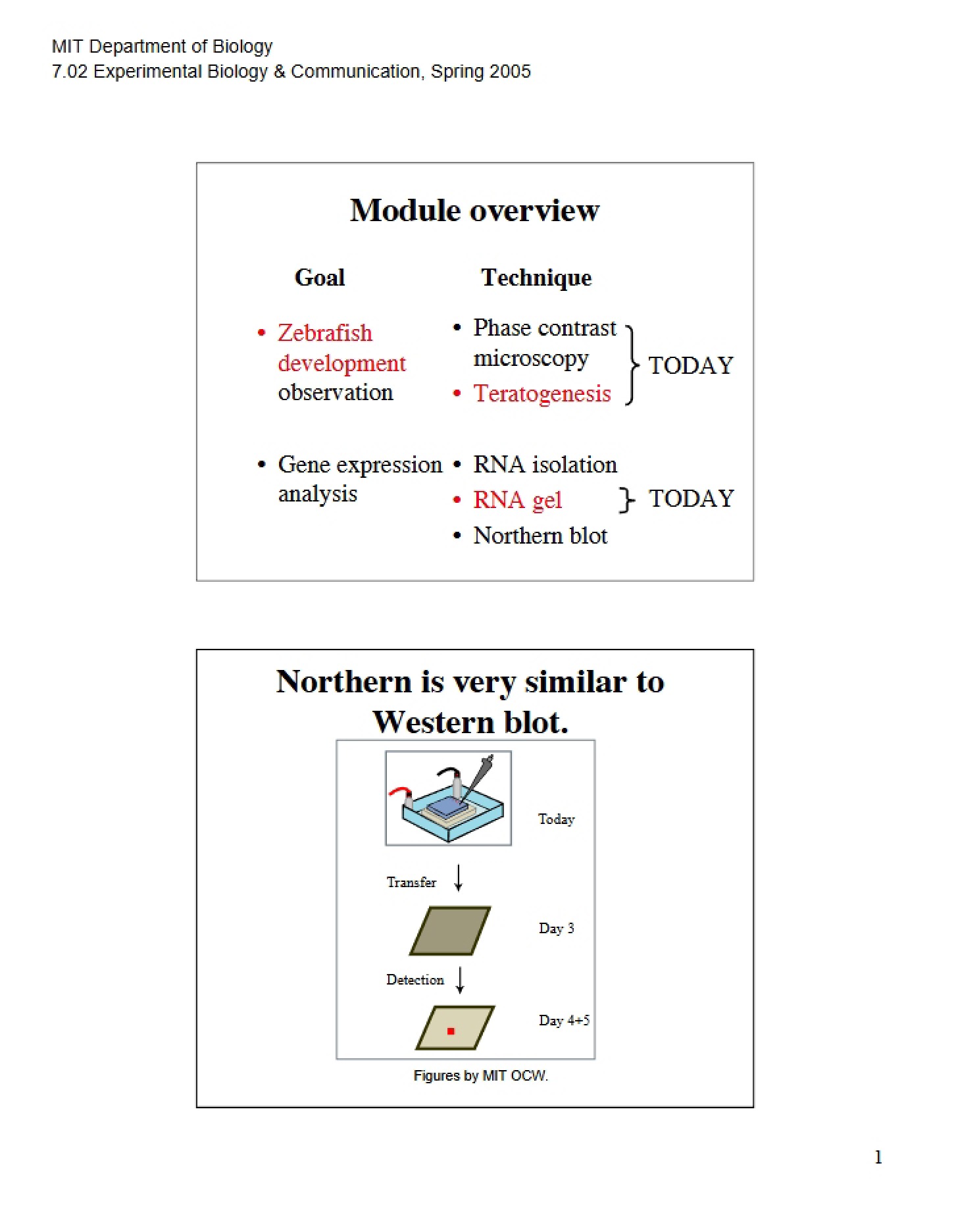 Overview of Module
