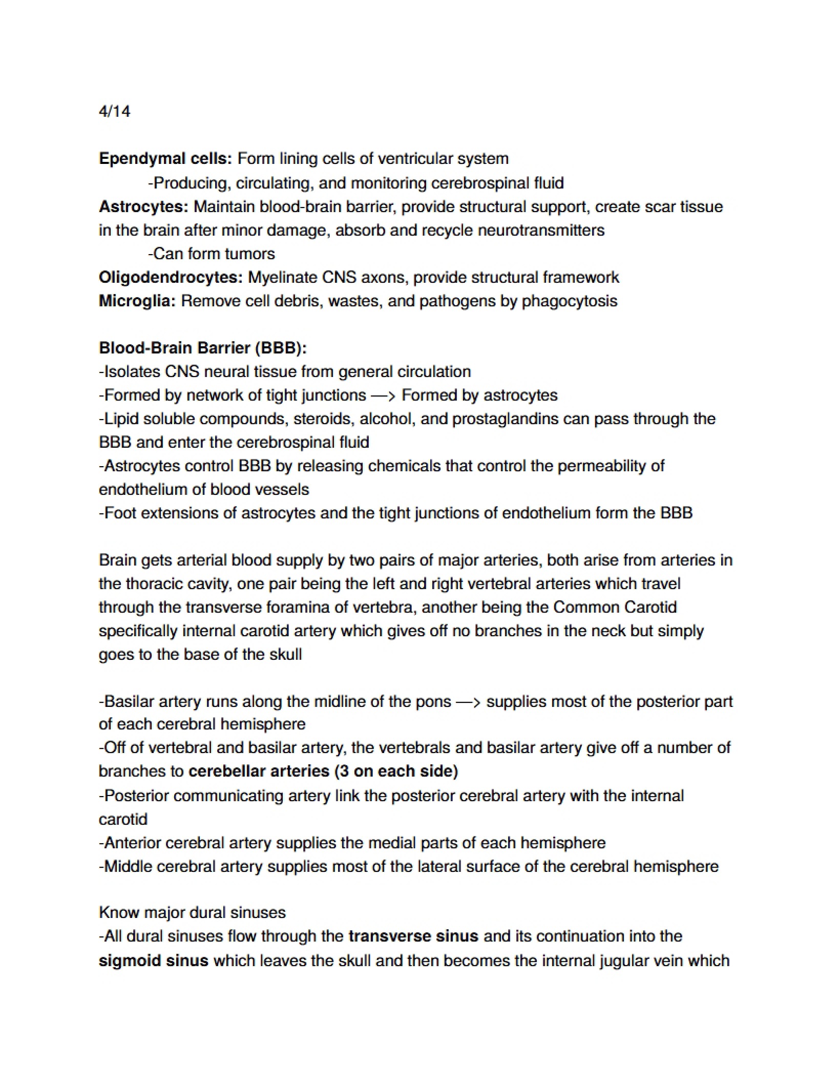 Anatomy and Physiology II Notes - ANAT 102