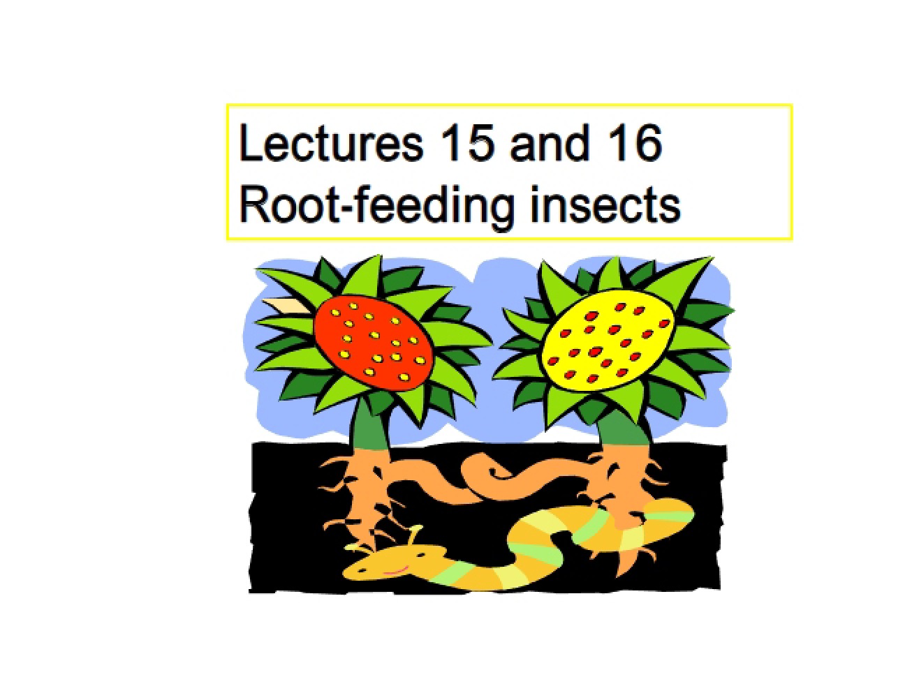 Insects Feeding on Roots