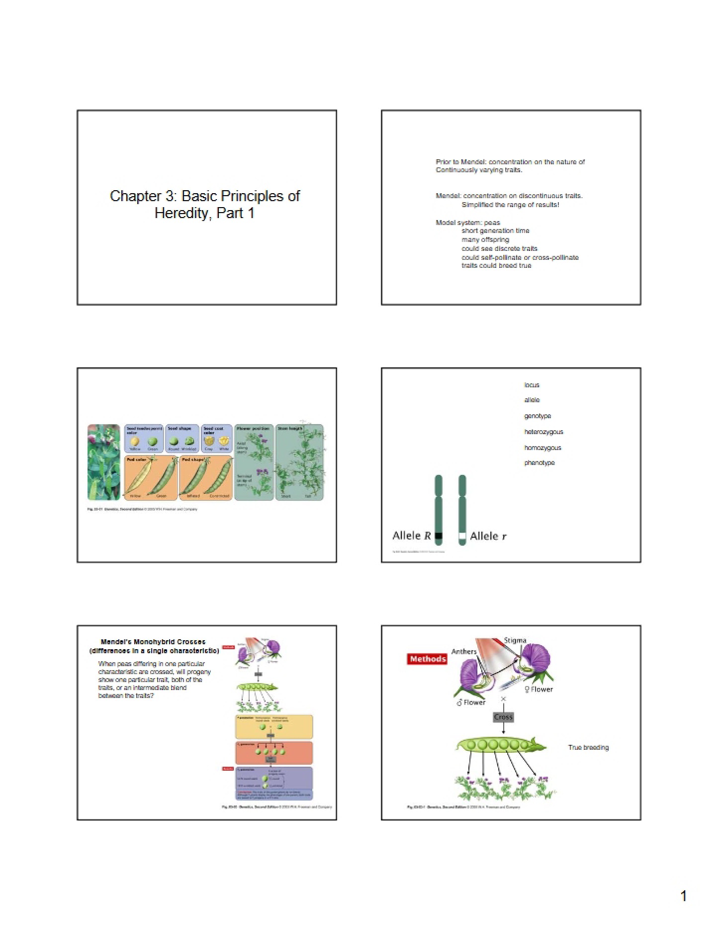 Heredity Principles, Part 1
