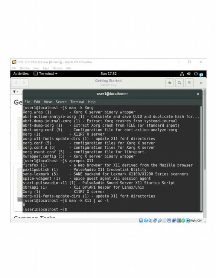 Xorg Configuration and Crash Analysis Guide