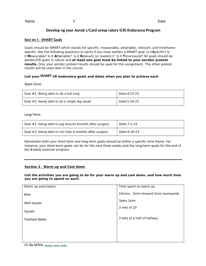 Aerobic Endurance Program - SMART Goals and FITT Plan