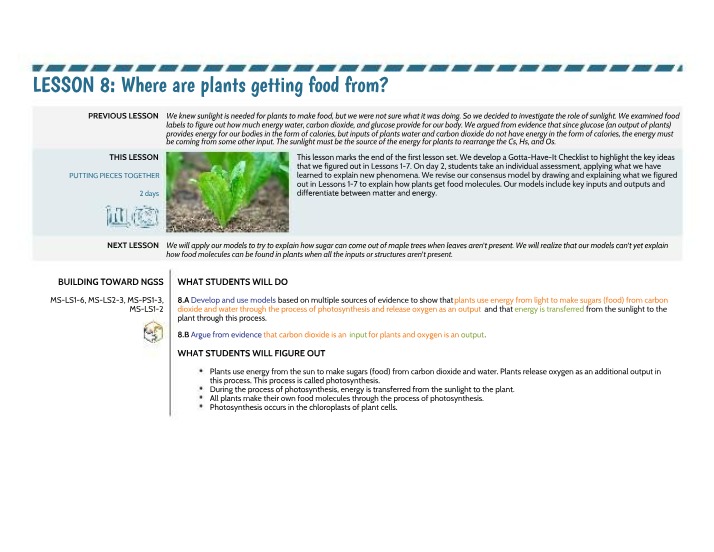 Where Do Plants Get Food - Lesson 8