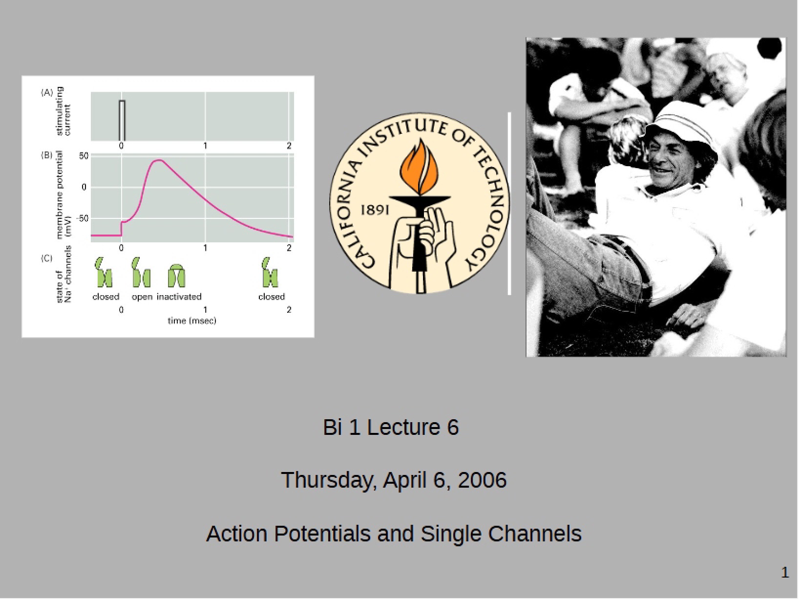 Single Channels and Action Potentials
