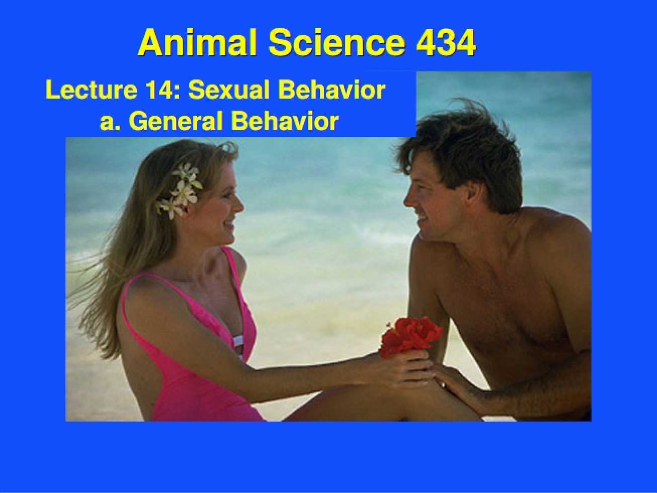 General Sexual Behavior