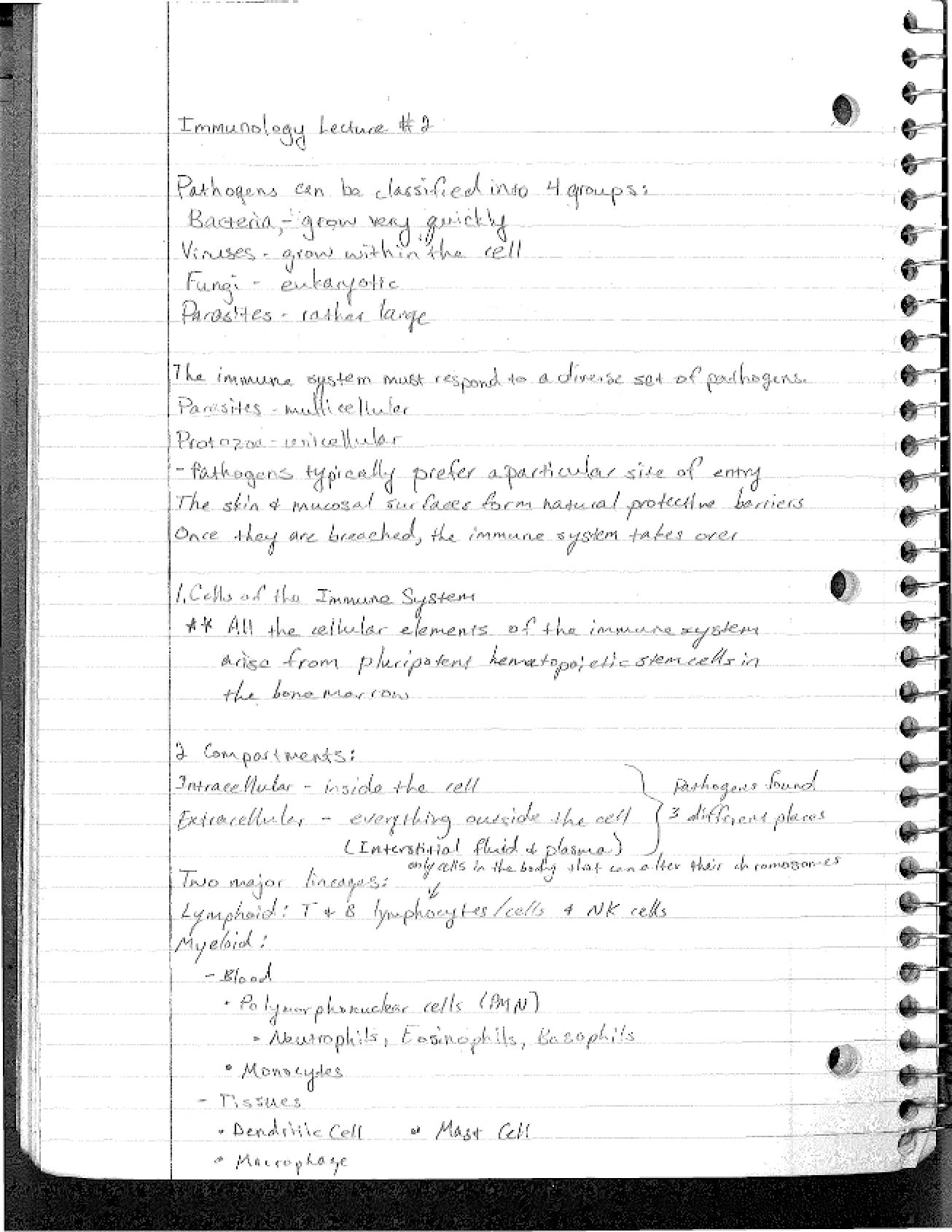 Class Notes Immunology