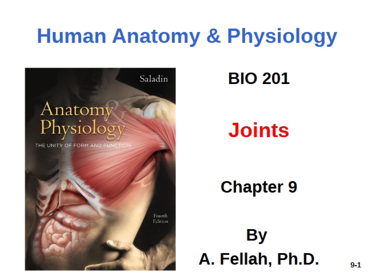 Introduction to Joints from Chapter 9