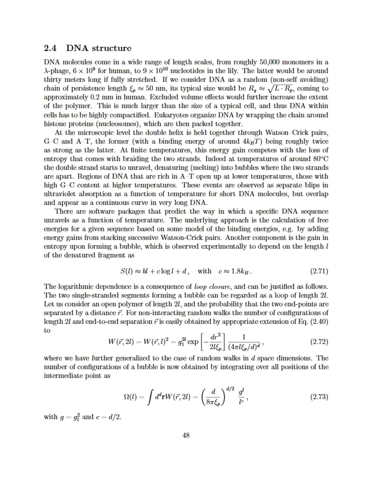 Structural Analysis of DNA