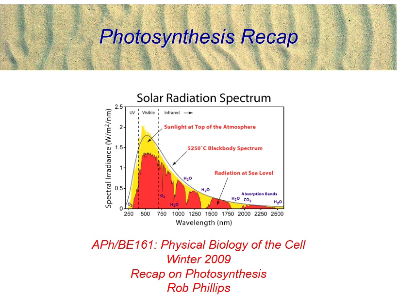 Recap Photosynthesis