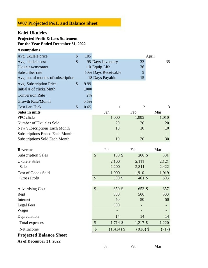 Projected P&L and Balance Sheet - Week 07