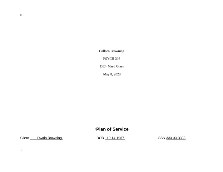 Service Plan