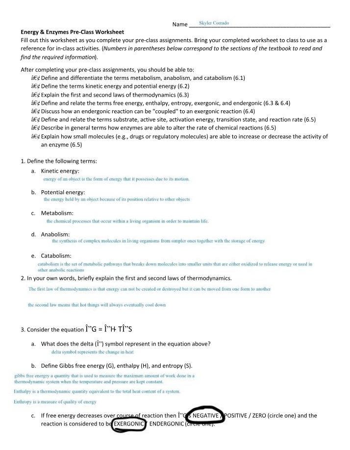 Energy and Enzymes Worksheet First Draft