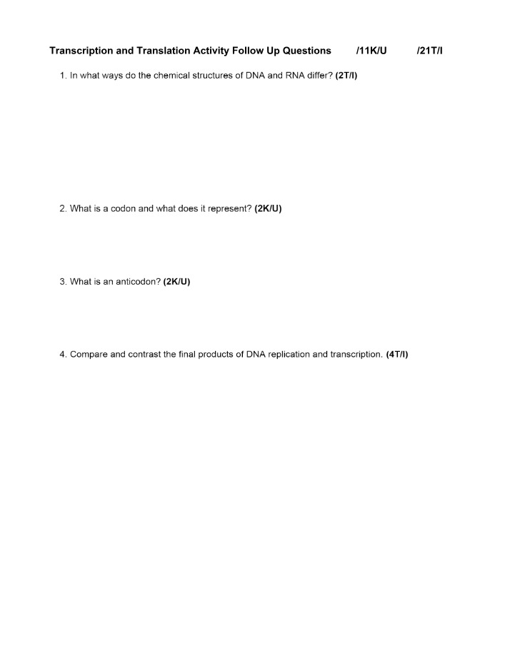 Follow-up Questions for Transcription and Translation Activity