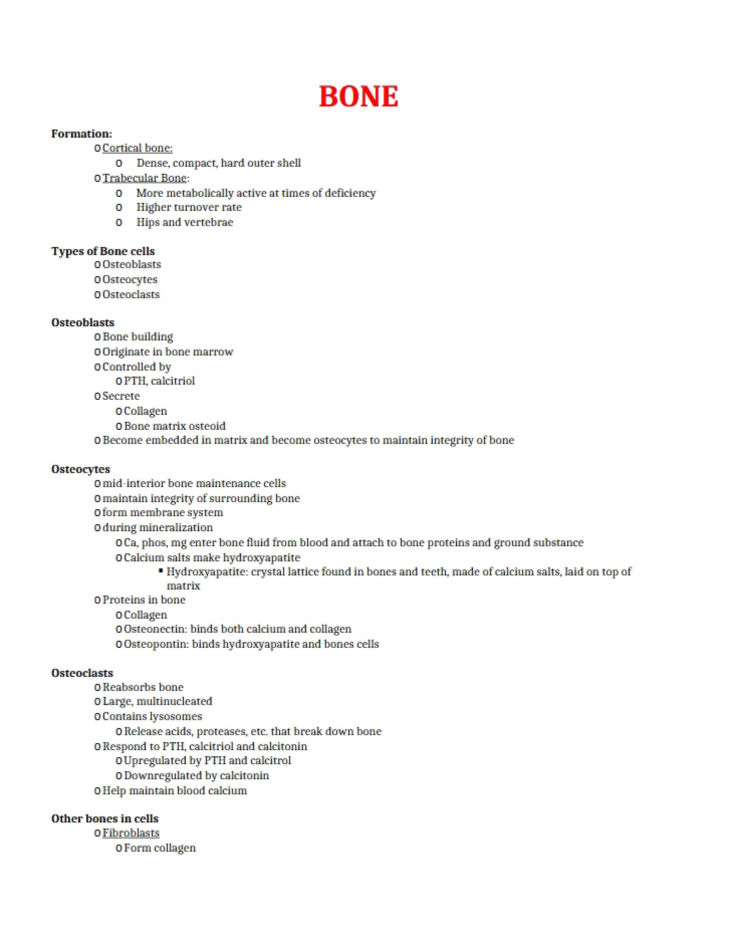 Skeletal System Fundamentals