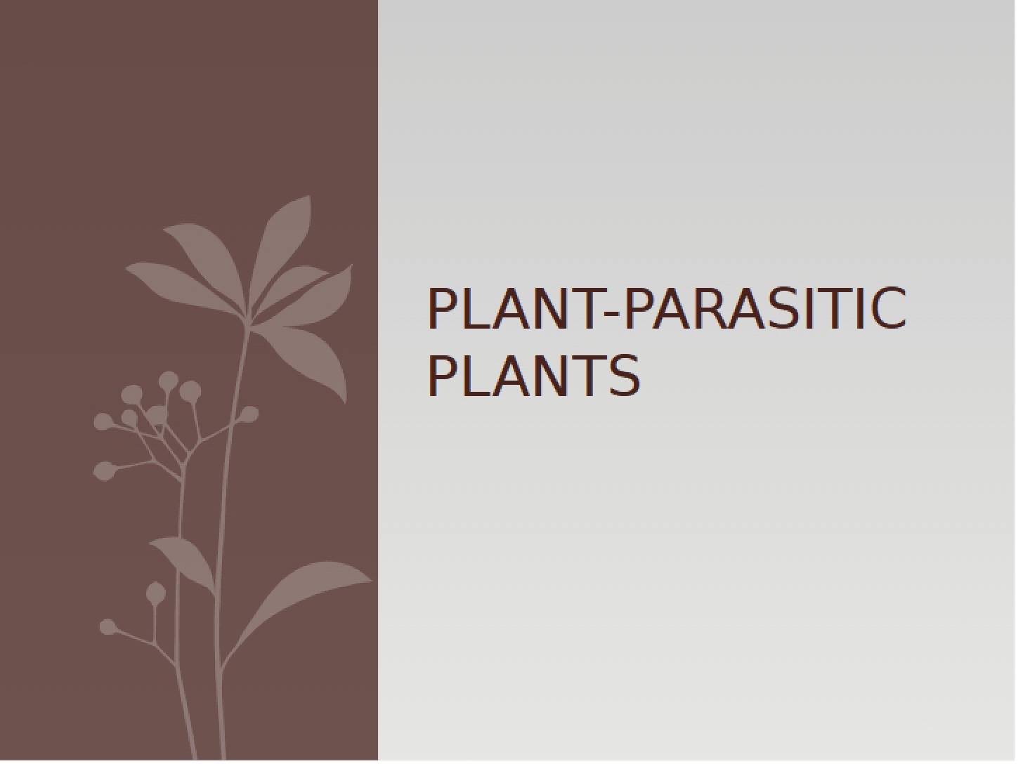 Plants Parasitic (Lecture 24)