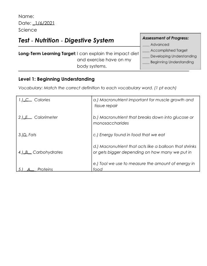 Impact of Diet and Exercise on the Digestive System