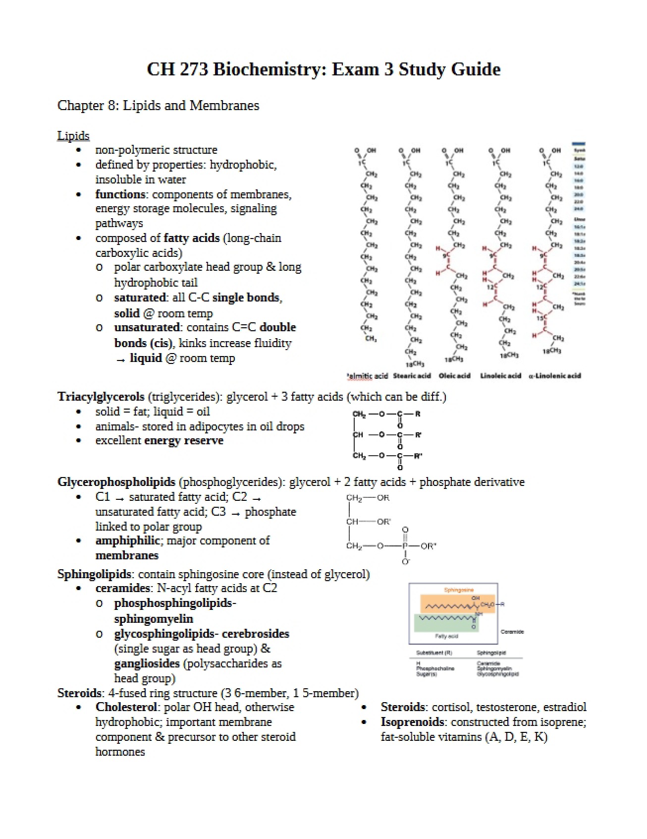 Third Exam Study Guide for Biochemistry