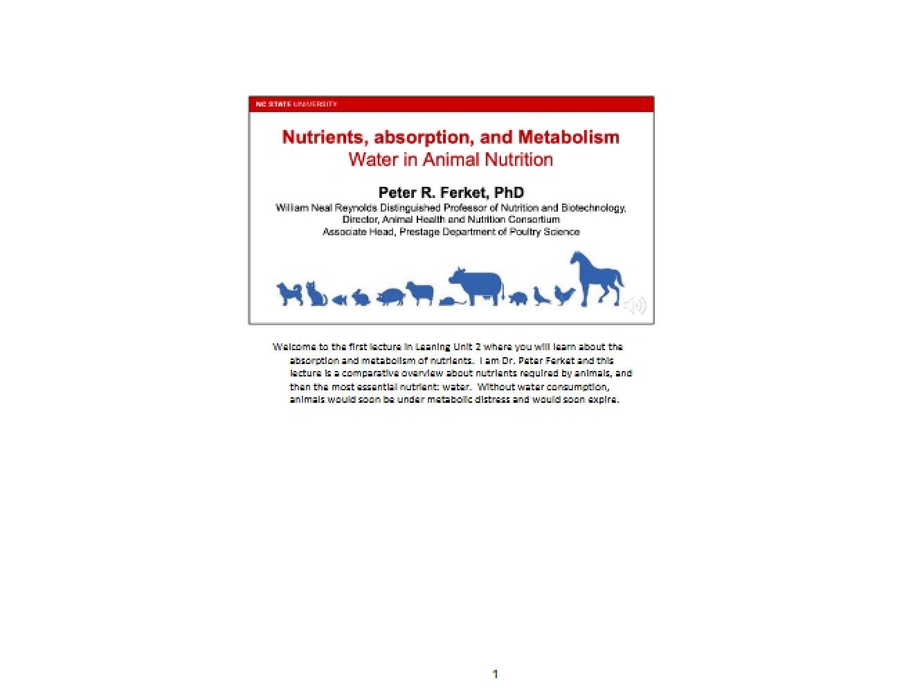Applied Ruminant Nutrients