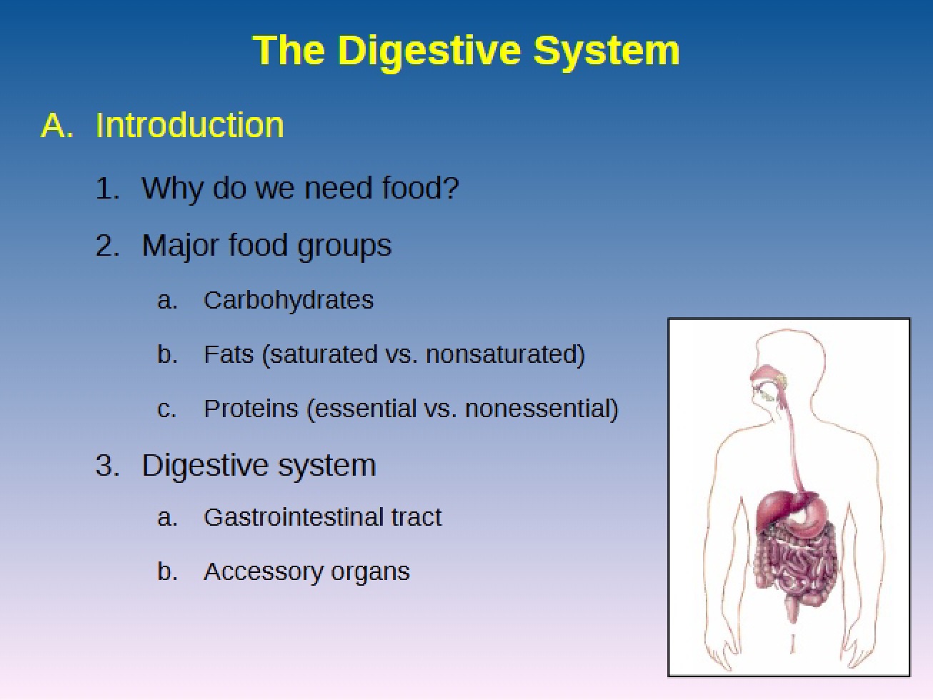 System of Digestion