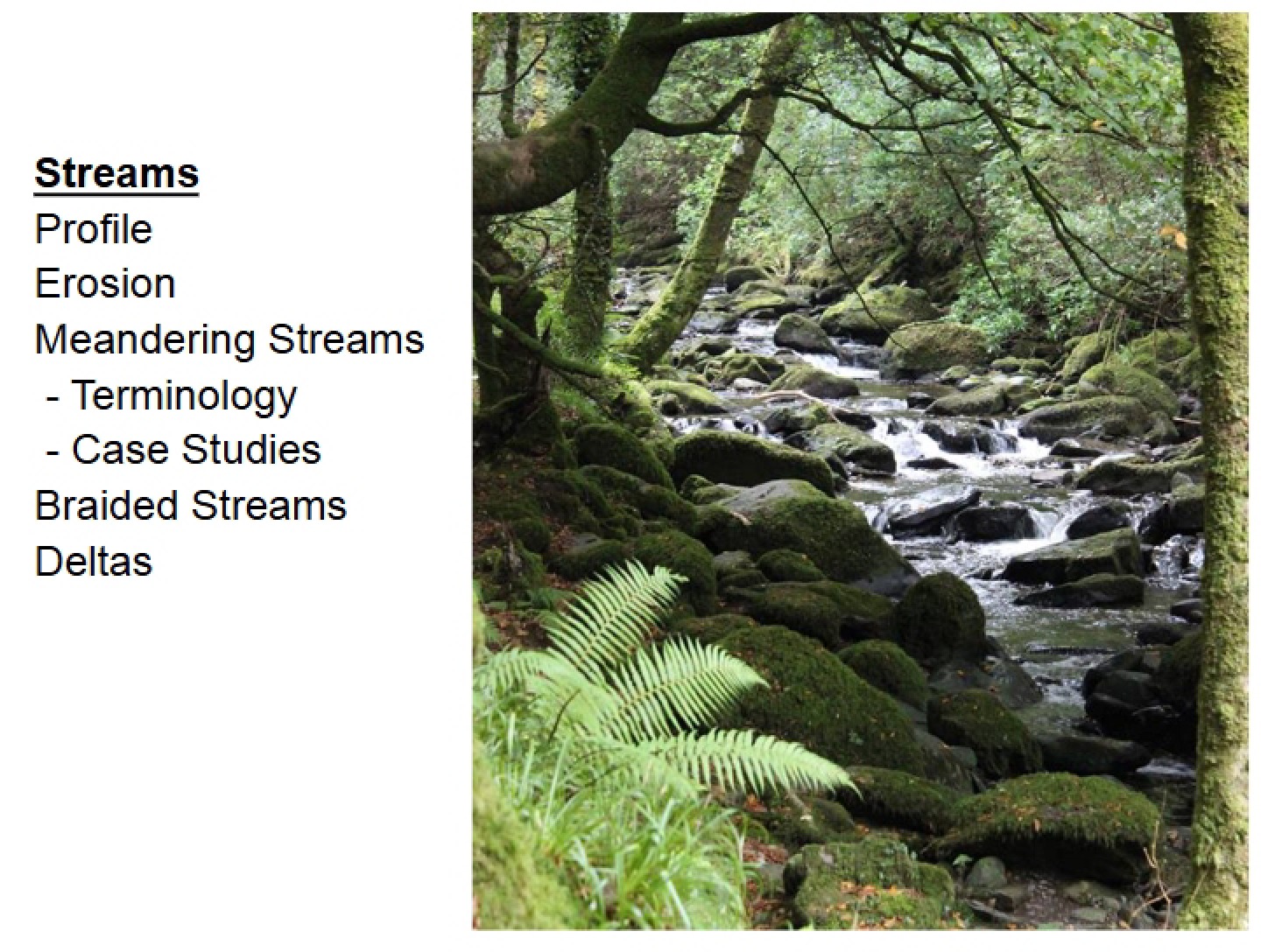 Streams and Rivers