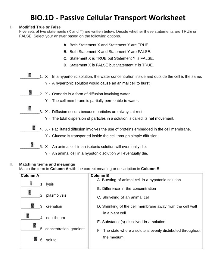 Worksheet on Passive Cellular Transport