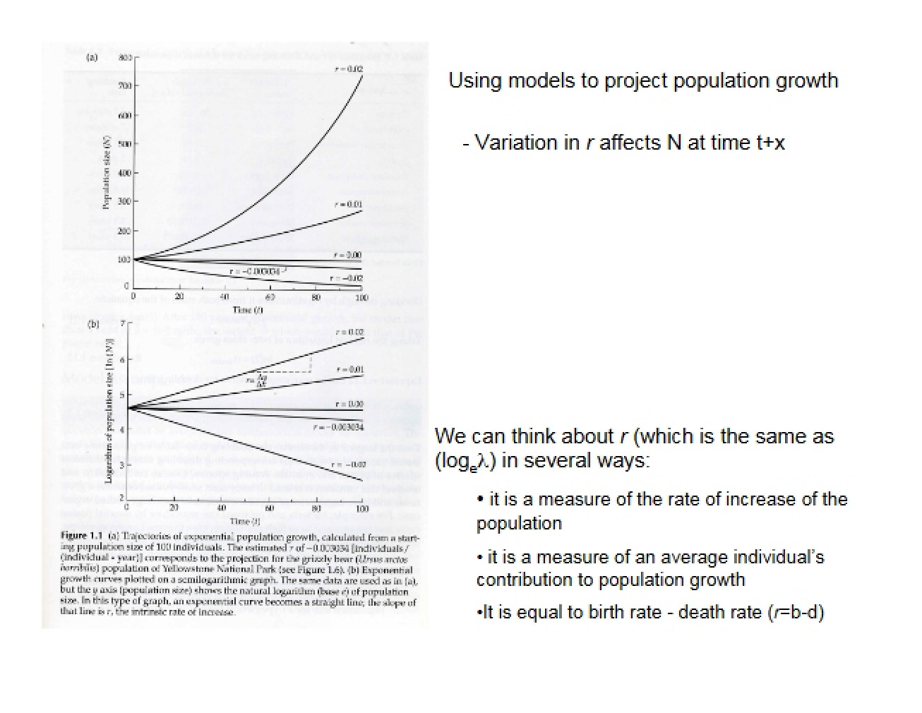 Sixth Lecture from Fall 2013 by Bernardo on Population Ecology