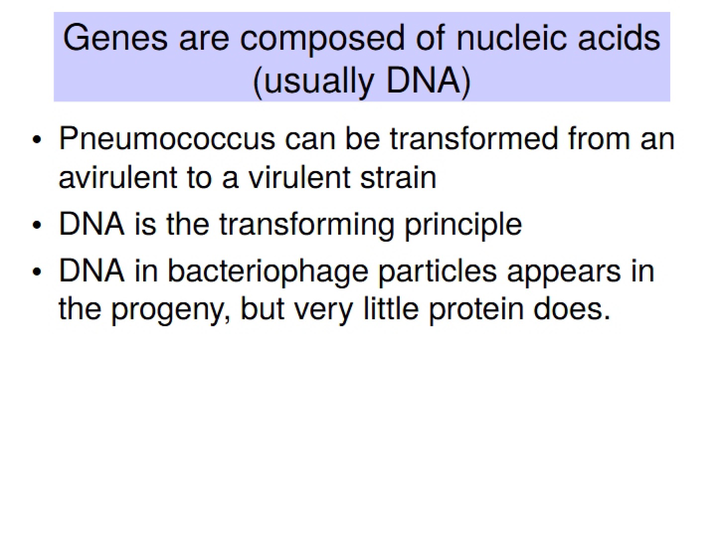 Acids of the Nucleus