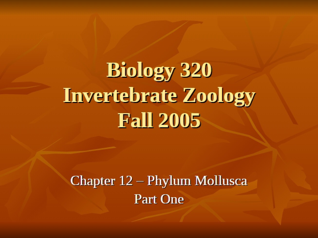 Part 01 The Phylum Mollusca