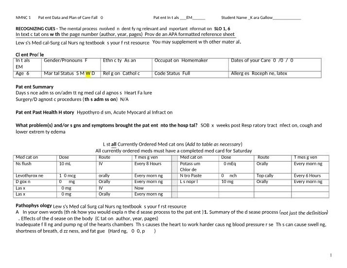 Patient Data and Care Plan - NMNC 1235 Fall 2022