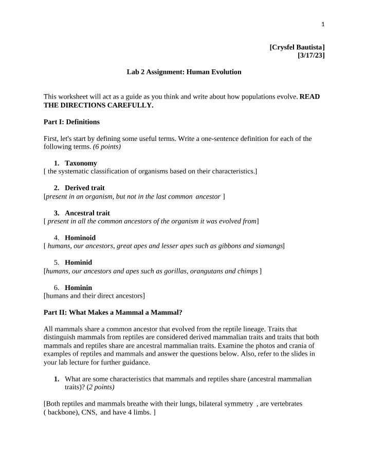 Human Evolution - Definitions and Traits