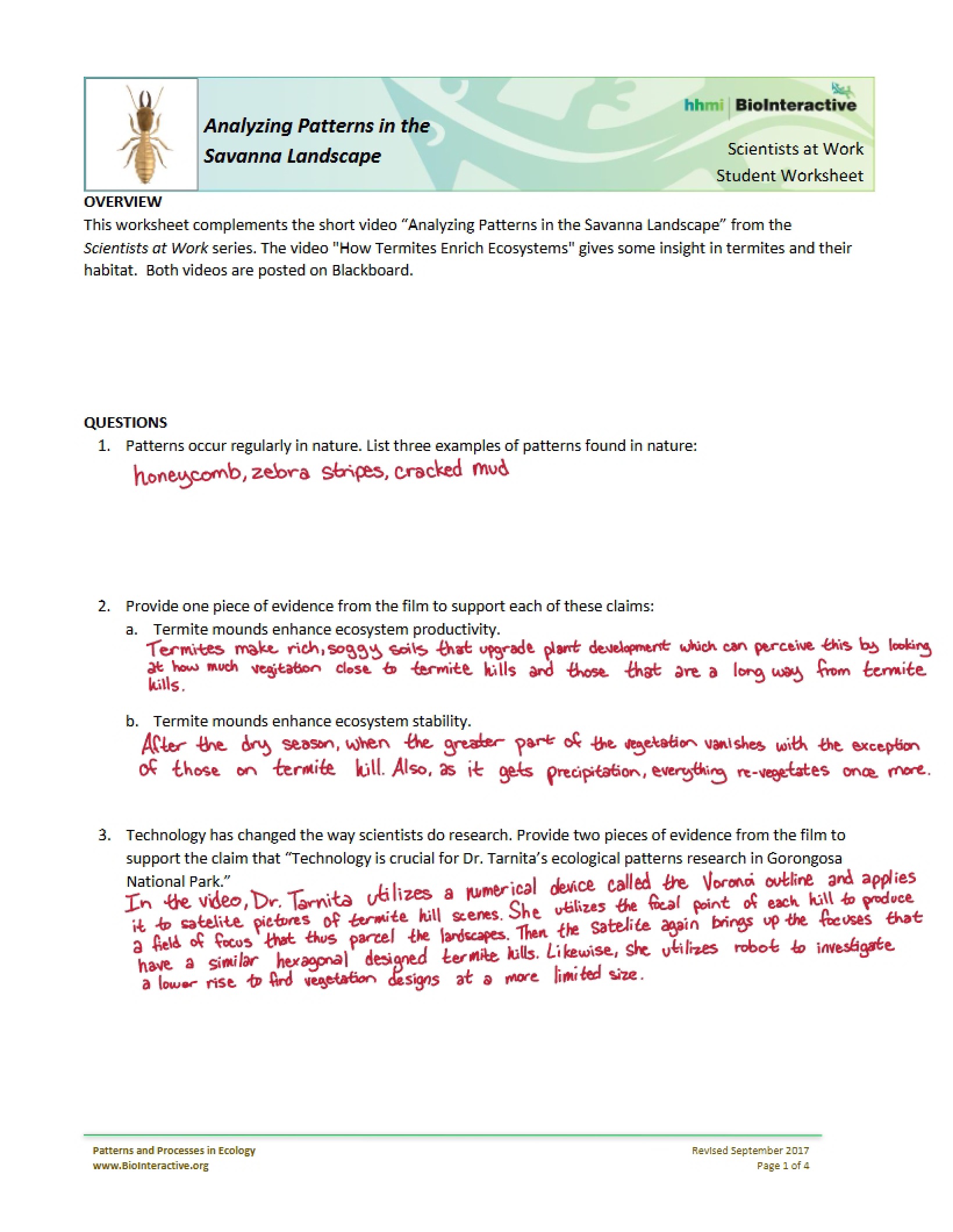 Savannah Pattern Analysis