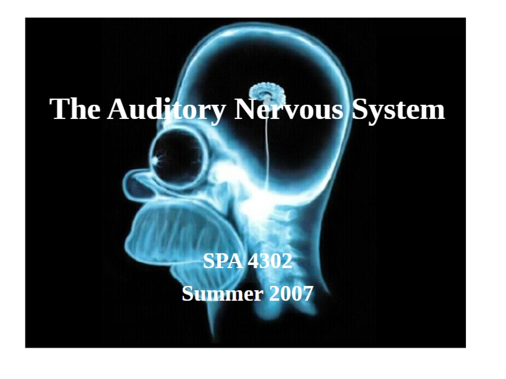 Blanks Auditory Nervous System