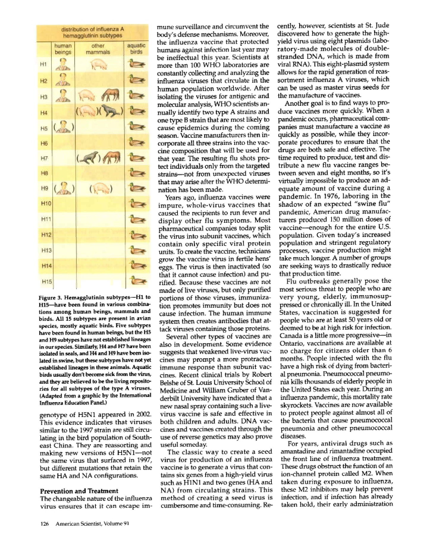 Pages 5-6 (14b)