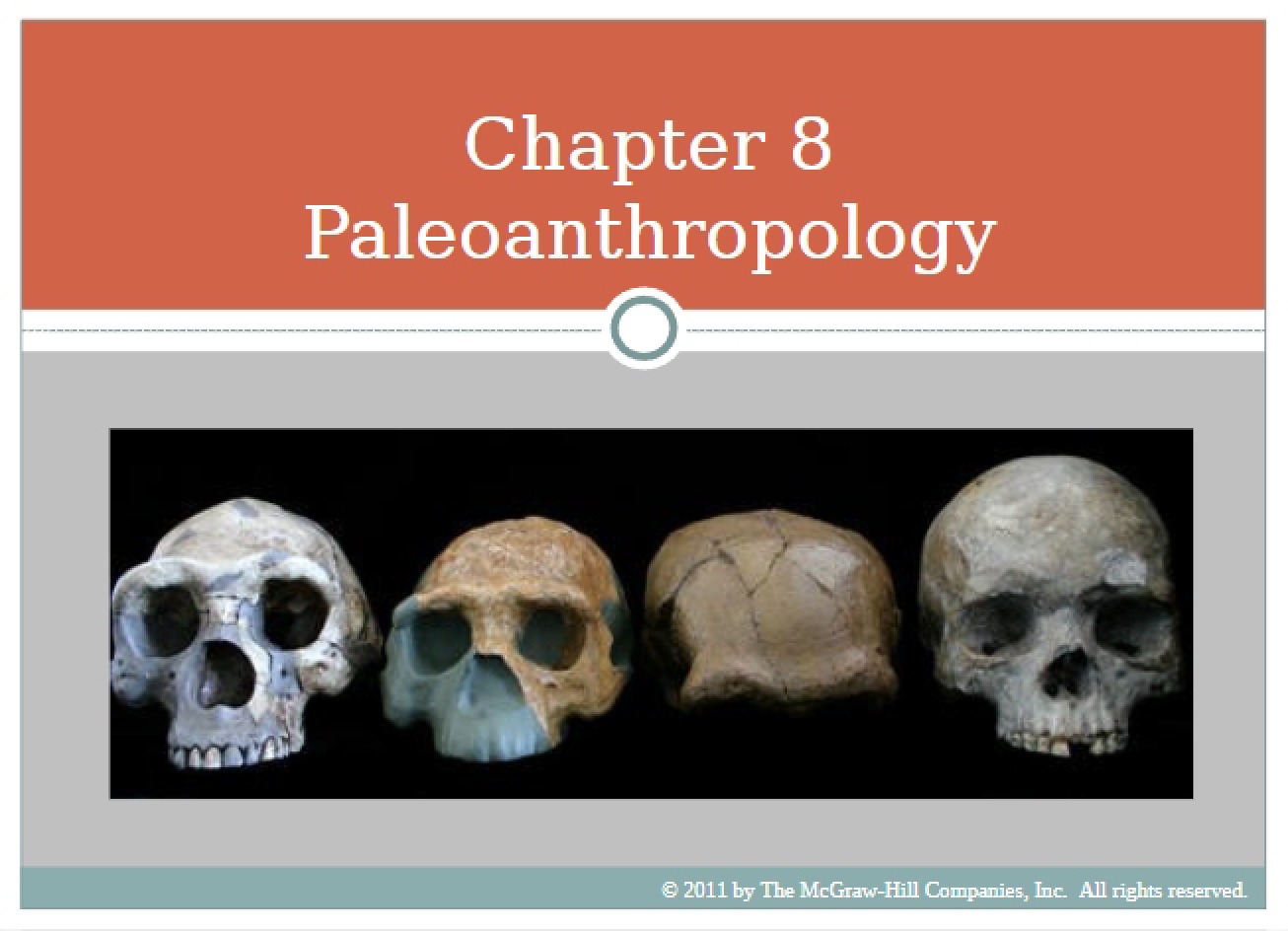 Introduction to Paleoanthropology