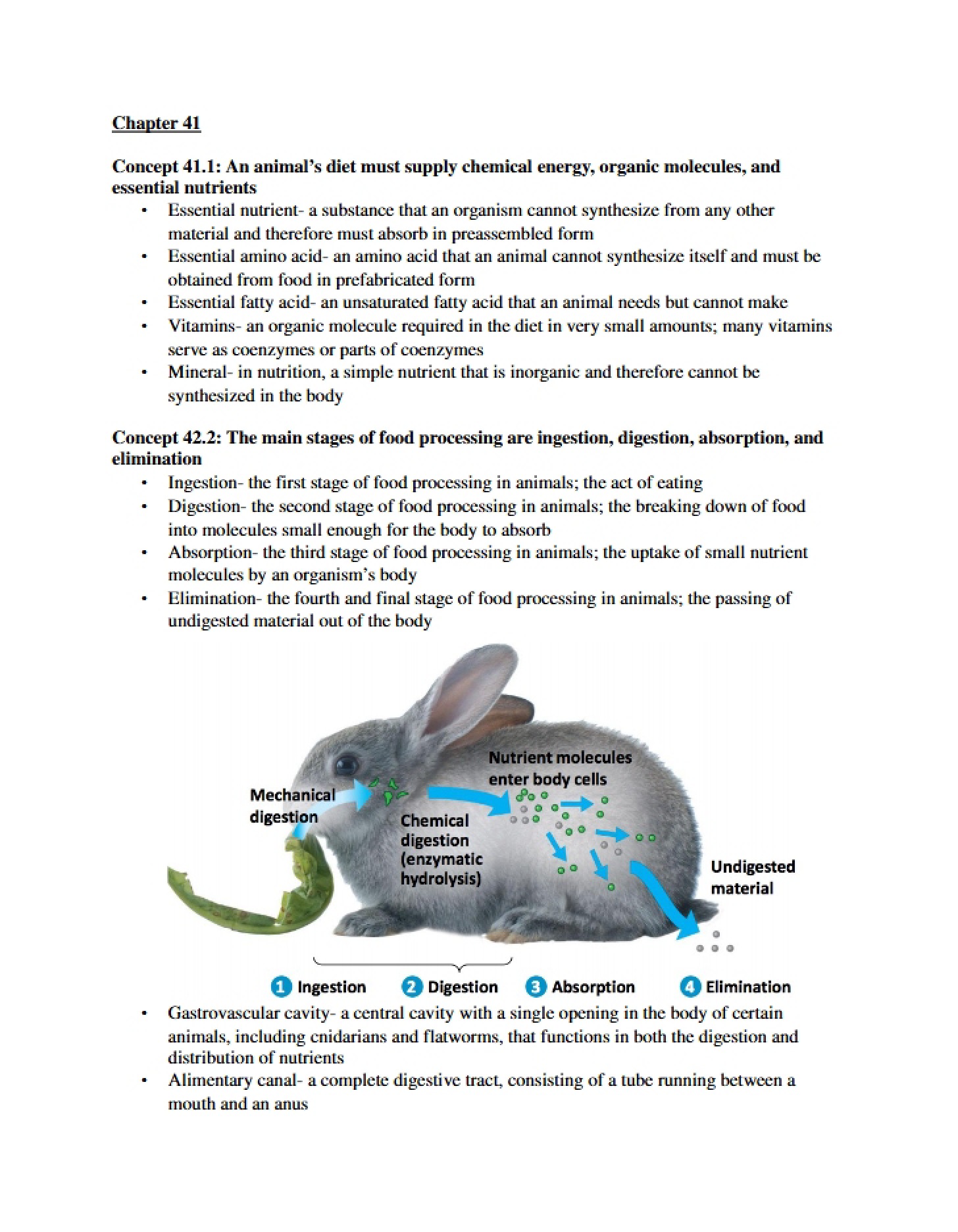 Section 41 Summary Points