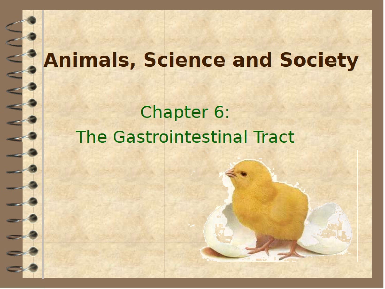 Digestion 2013 Unit 6