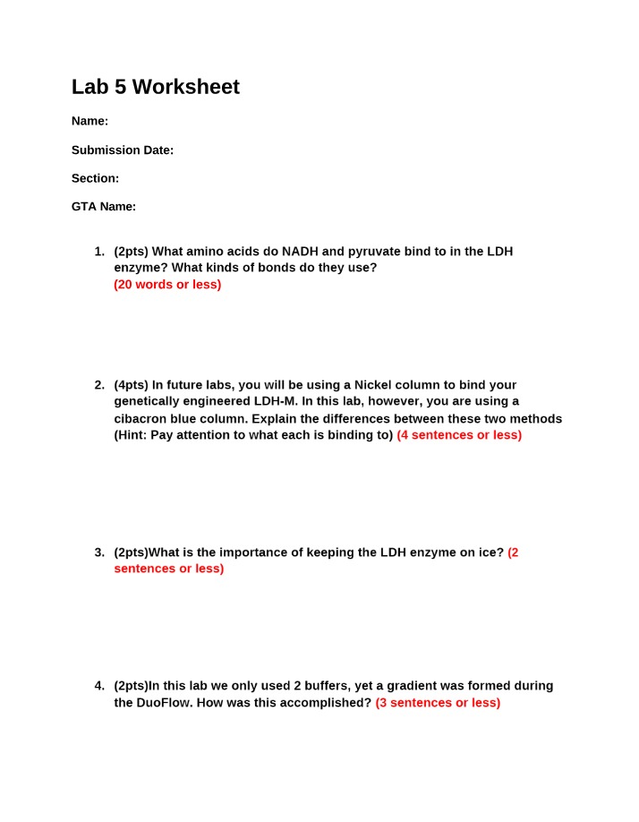 Worksheet for Lab 5