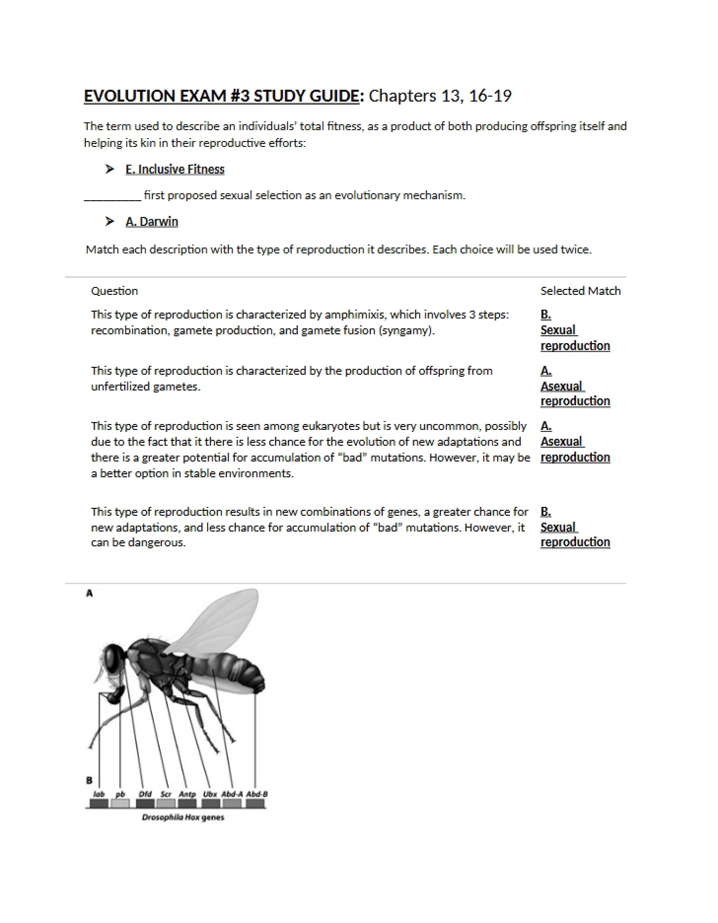 Questions for Evolution Exam 2