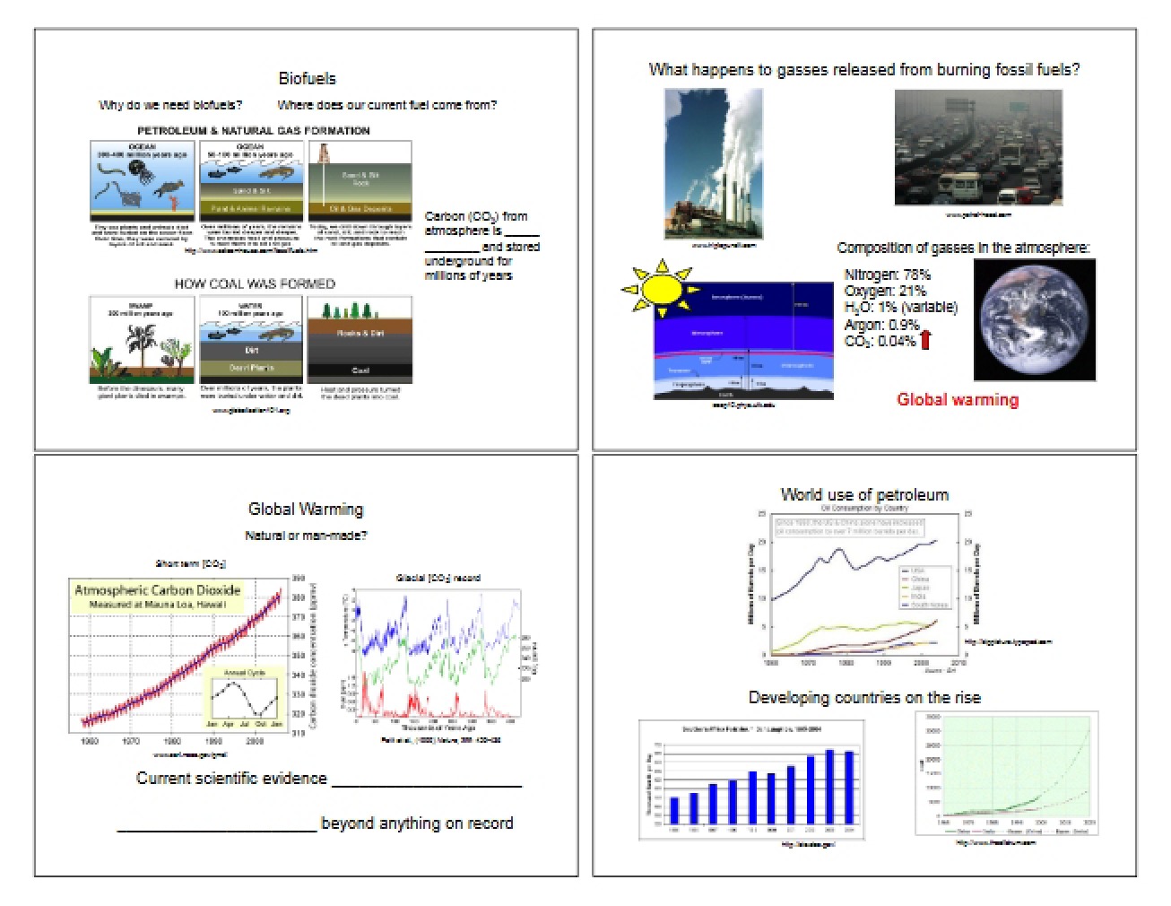 Introductory Look at Biofuels