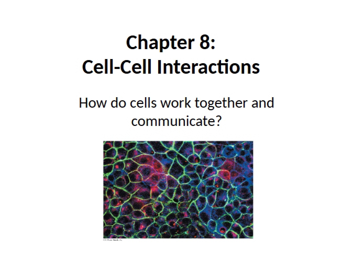 Topic 16 Cell-Cell Interaction Handouts