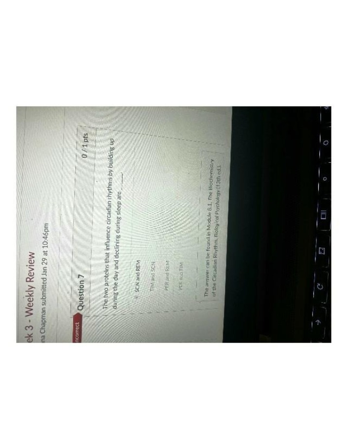 Weekly Review Document