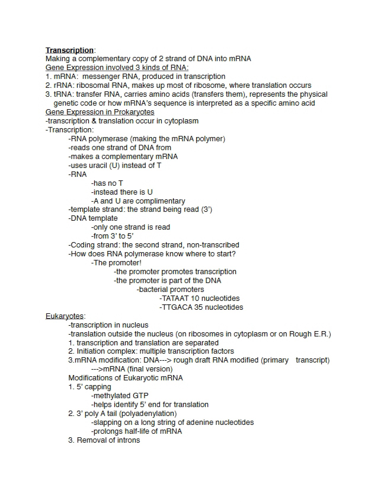 Transcription Process