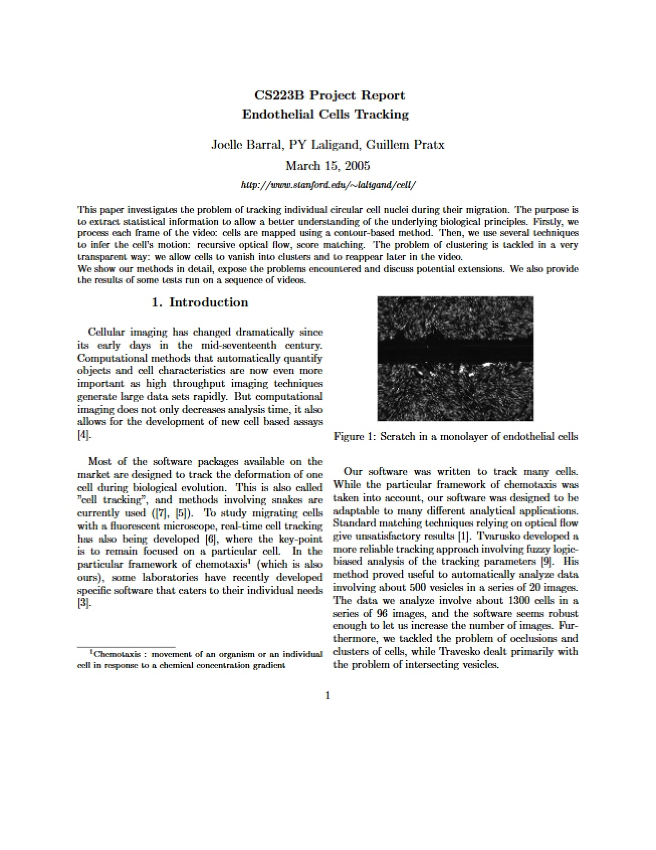 Endothelial Cells Tracking