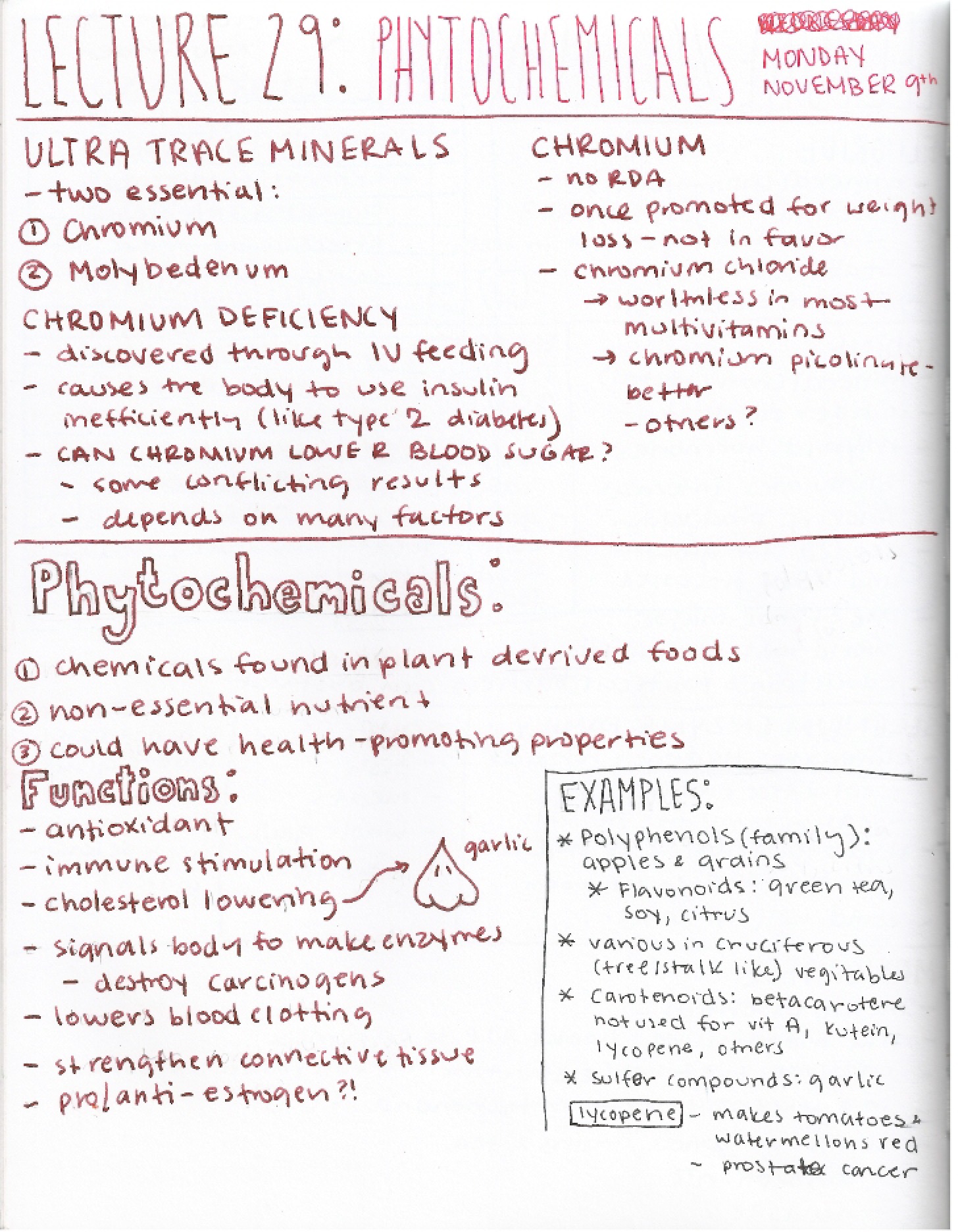 Course Notes